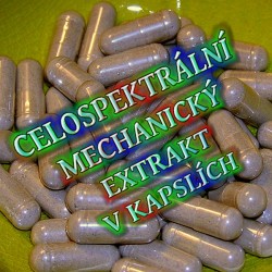 Vavřín kapsle 500mg