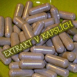 Kava Kava extrakt kapsle 600mg