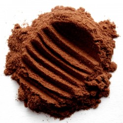 Theobroma cacao extrakt
