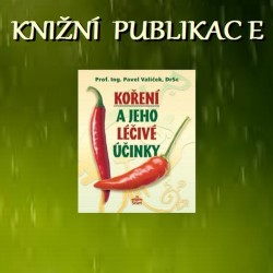 Koření a jeho léčivé účinky