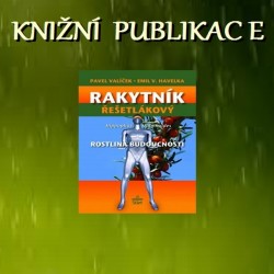 Rakytník řešetlákový -...