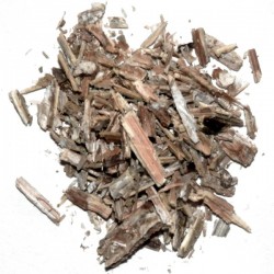 Lactuca virosa